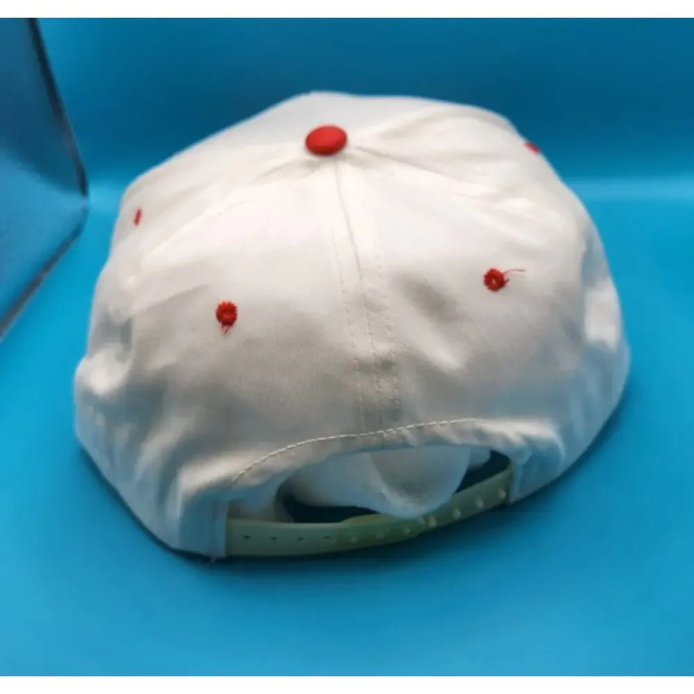 VINTAGE Air Force Association Hat Cap Adjustable Snapback afa